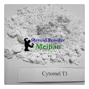 Liothyronine sodium Cytomel T3